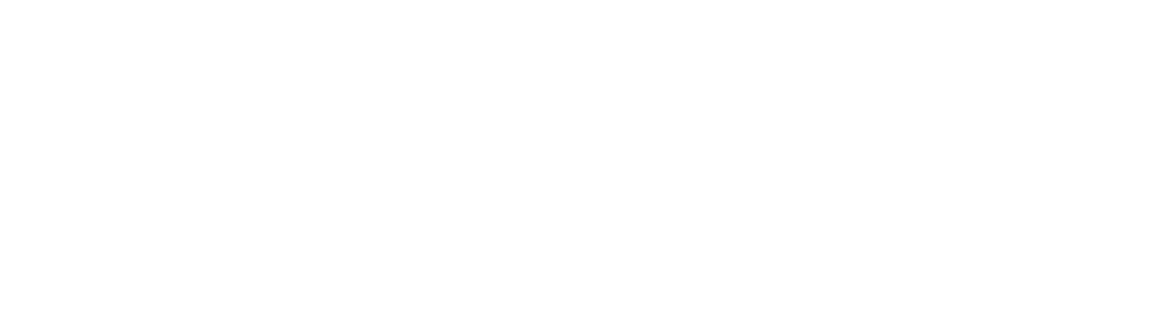 DataXsys Business Solution Providers